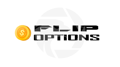 FLIP OPTIONS