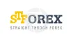 STFOREX