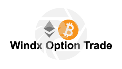 Windx Option Trade