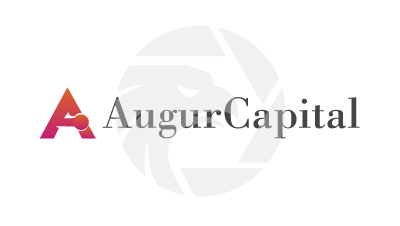  Augur Capital 