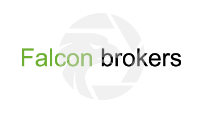 Falcon brokers