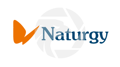 Naturgy