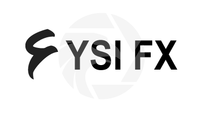 YSI FX
