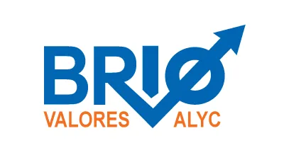 BRIO VALORES