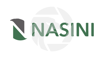 NASINI