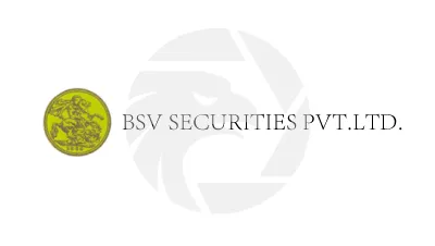 BSVSEC