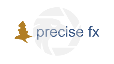Precise FX