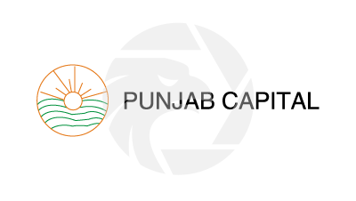 Punjab Capital