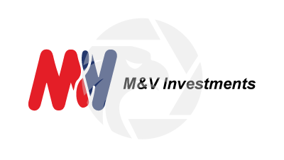M&V Investments