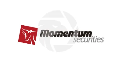 Momentum Securities
