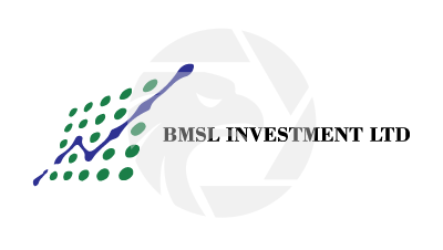 BMSL INVESTMENT LTD