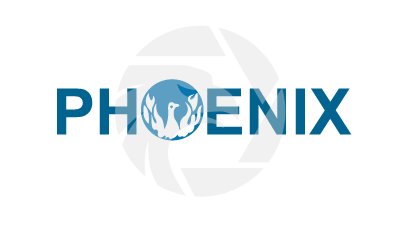 Phoenix Finance＆Investments Limited