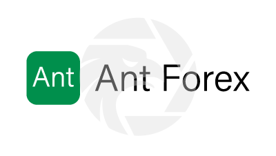 Ant Forex亿汇资本