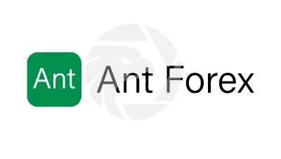 Ant Forex