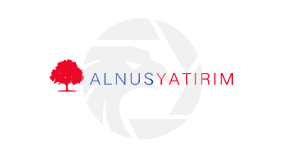 ALNUSYATIRIM