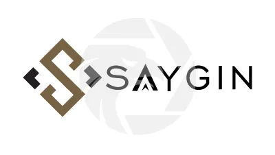  Saygin