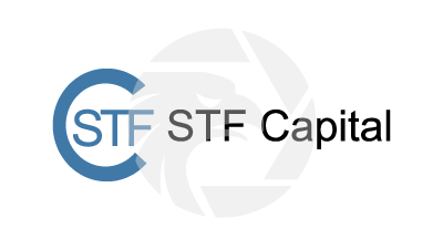 STF Capital盛興遠大資本