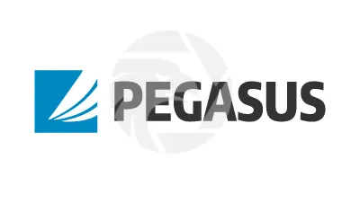 PEGASUS SECURITIES SA