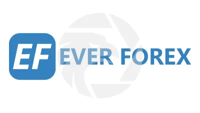 Fake EverForex