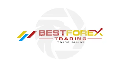Best Forex Trading