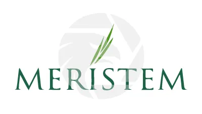 Meristem