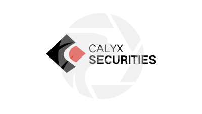 CALYX SECURITIES