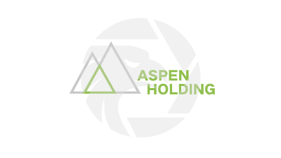 ASPEN HOLDING