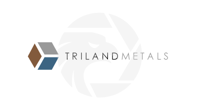 Triland Metals
