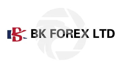 BK FOREX LTD