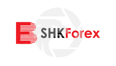 SHKFX新鸿基外汇有限公司