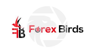Forex Birds