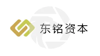 DOMIN GROUP LTD