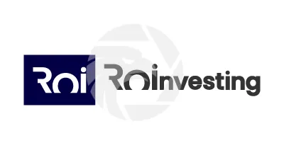 Roinvesting