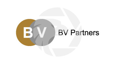 BV Partners