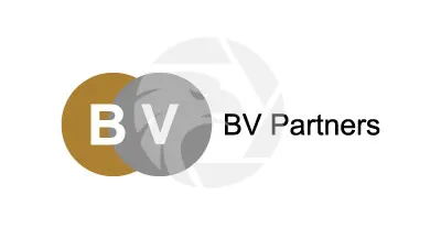 BV Partners