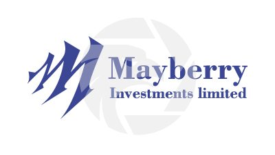 Mayberry Investments