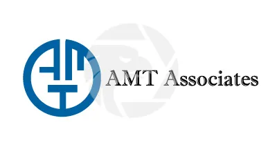 AMT Associates