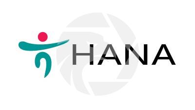 Hana Securities