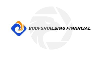 Boofshoilding financial