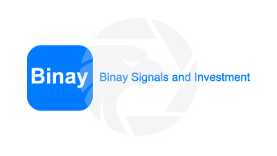 Binary Signals and Investment