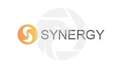 Synergy Markets