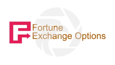 Fortune Exchange Options
