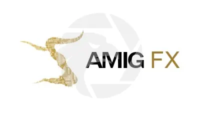 AMIG FX
