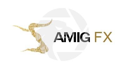 AMIG FX