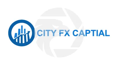 CITY FX CAPITAL