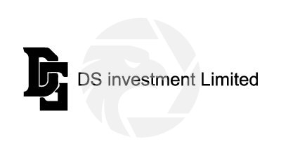 DS investment Limited