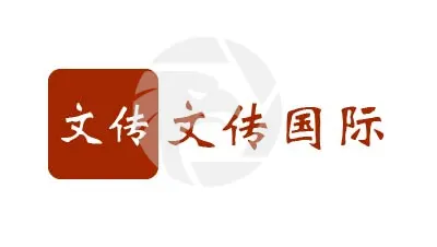 Wenchuan International文传国际