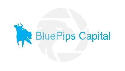 BluePips Capital
