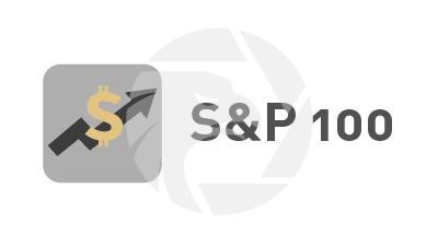 S&P 100