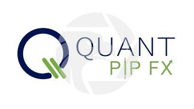 Quant Pip FX